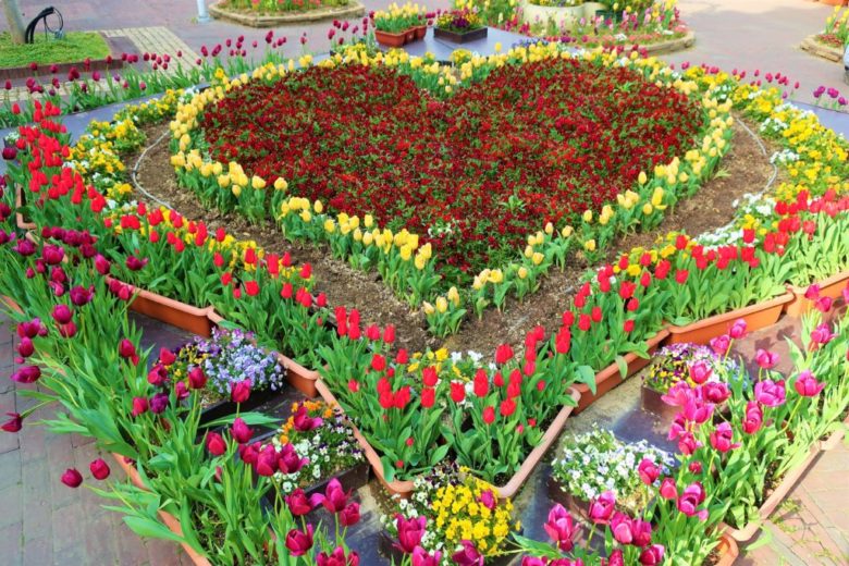 ハウステンボス チューリップ祭 ハートの花壇