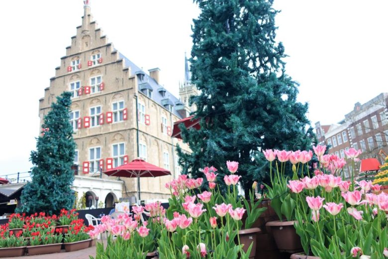 ハウステンボス チューリップ祭り スタッドハウス