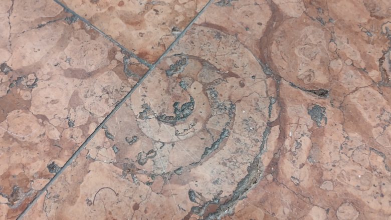 ハウステンボス ホテルヨーロッパ アンモナイト化石